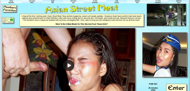 Asian Street Meat laotion porn