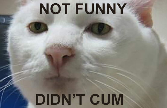 not funny didn't cum meme